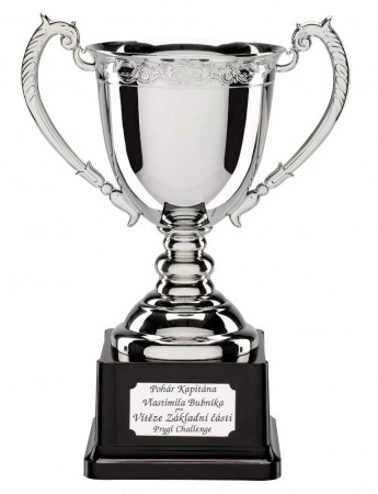 POHÁR KAPITÁNA BUBNÍKA